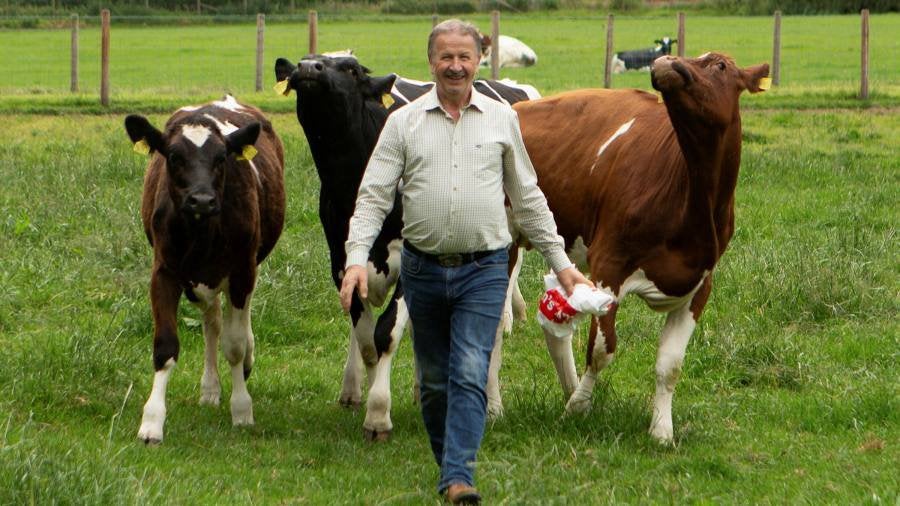 Brexit bill spells uncertainty for Northern Irish dairy farmers