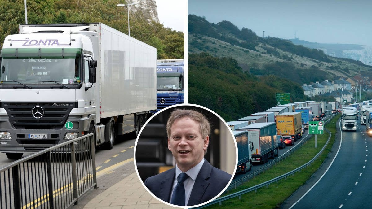 'Brexit bonus' plan to allow motorists to drive HGVs without extra tests to help solve driver shortages