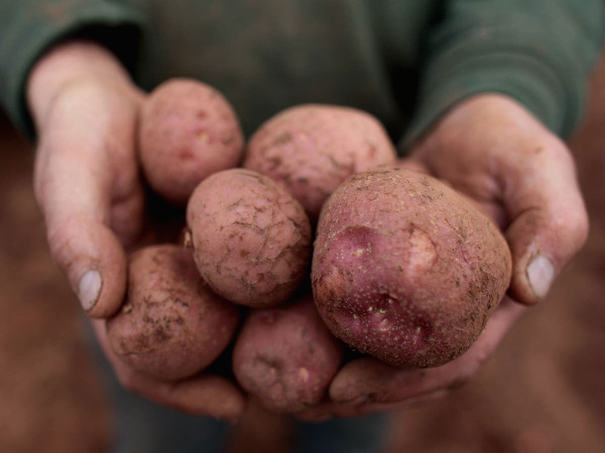 Brexit could spark potato shortage in Ireland, experts warn