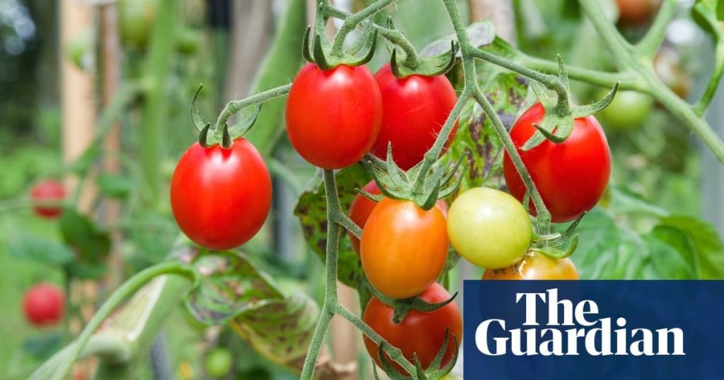 Brexit delays to seed imports could hit crop production, say growers