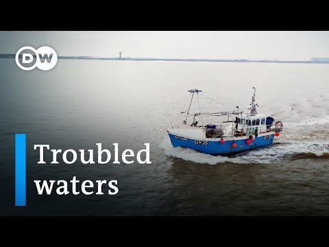 British fishermen and Brexit | DW Documentary