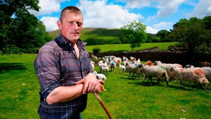 English farmers reconsider voting Tory over ‘botched’ Brexit