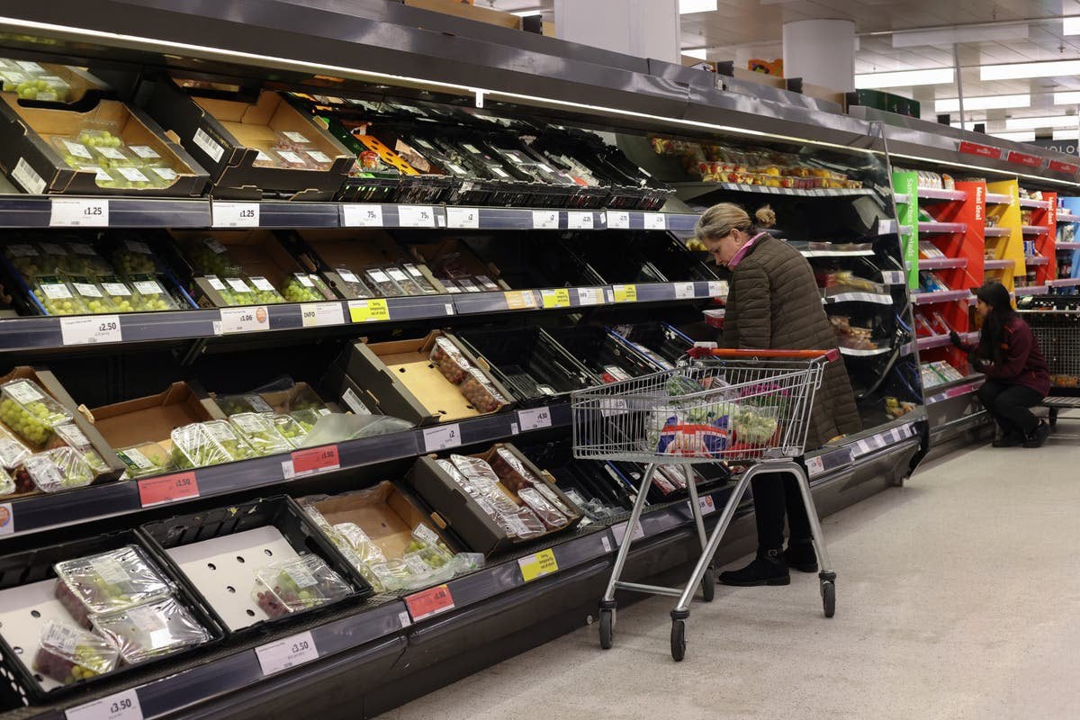 Food shortages latest news: Brexit worsens supermarket food shortages, farming group claims