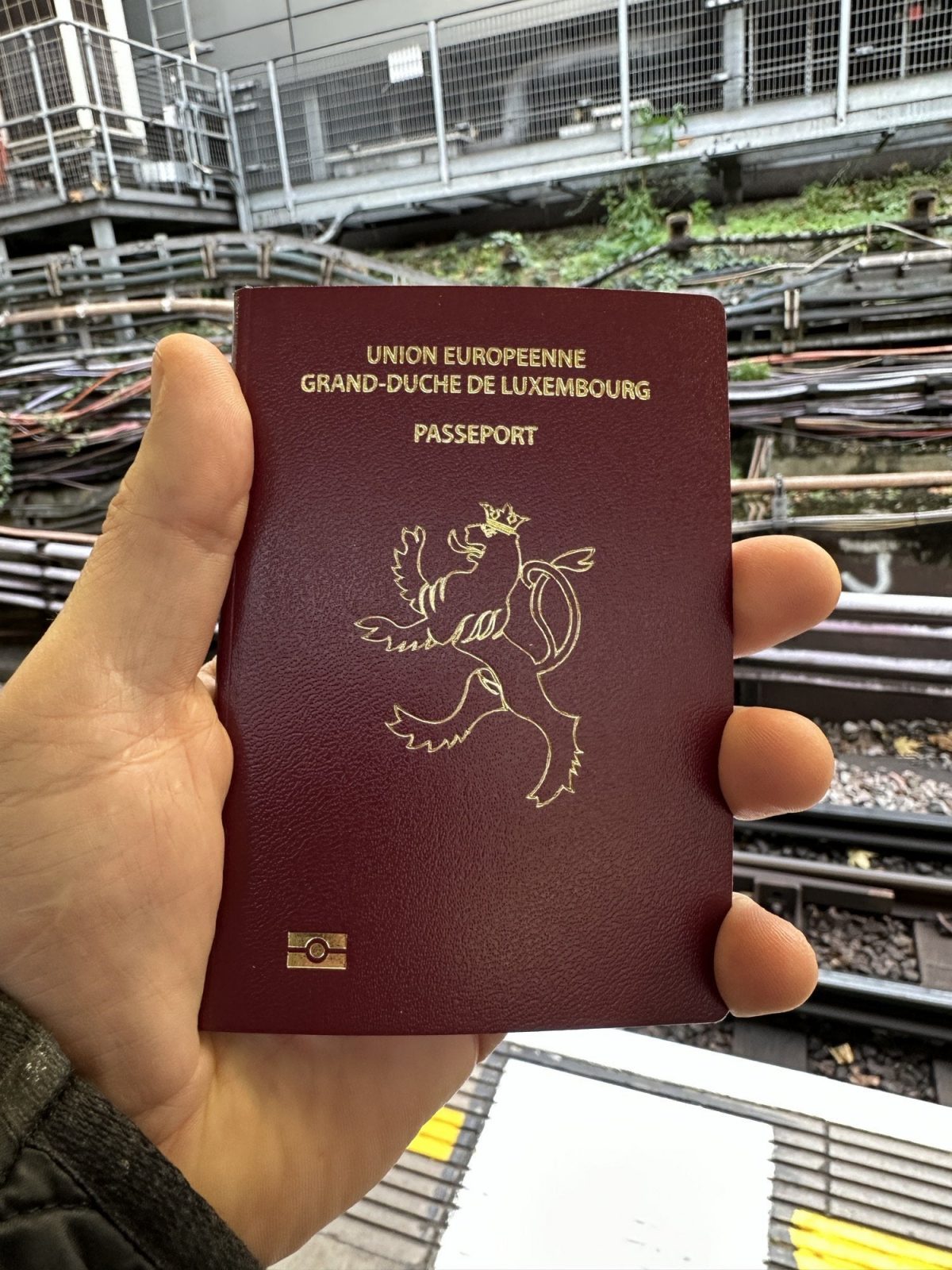 Hey Brexit you silly sausage, look what you made me go and do.