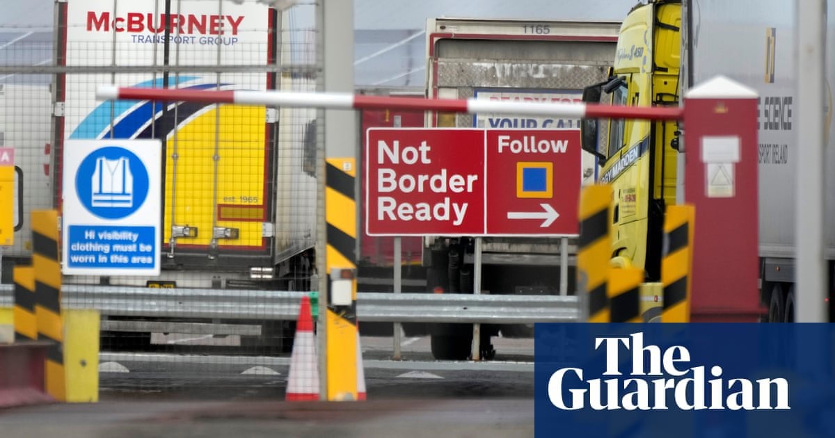 New Brexit trading rules could take more than two years to bed in fully | Brexit