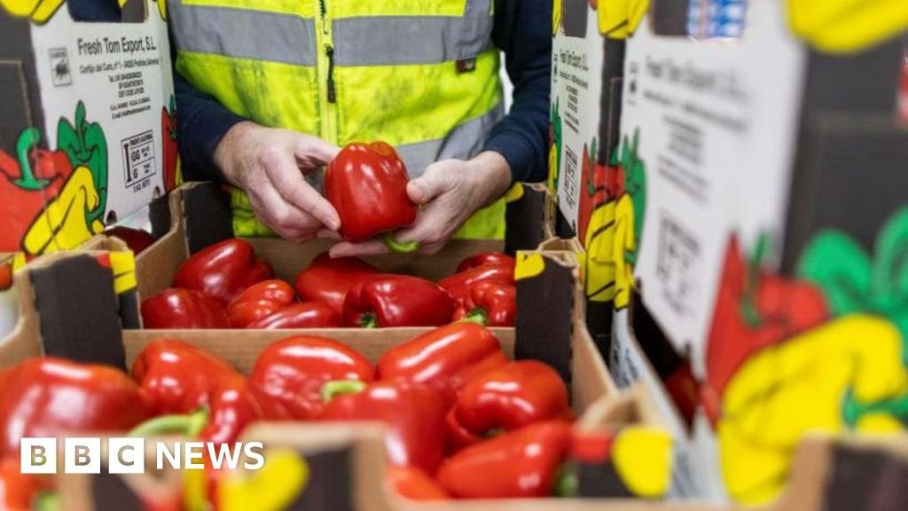 New post-Brexit border checks come into force