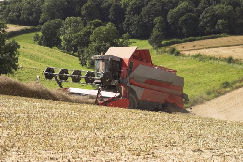 Post-Brexit immigration policy 'crippling entire food industry'