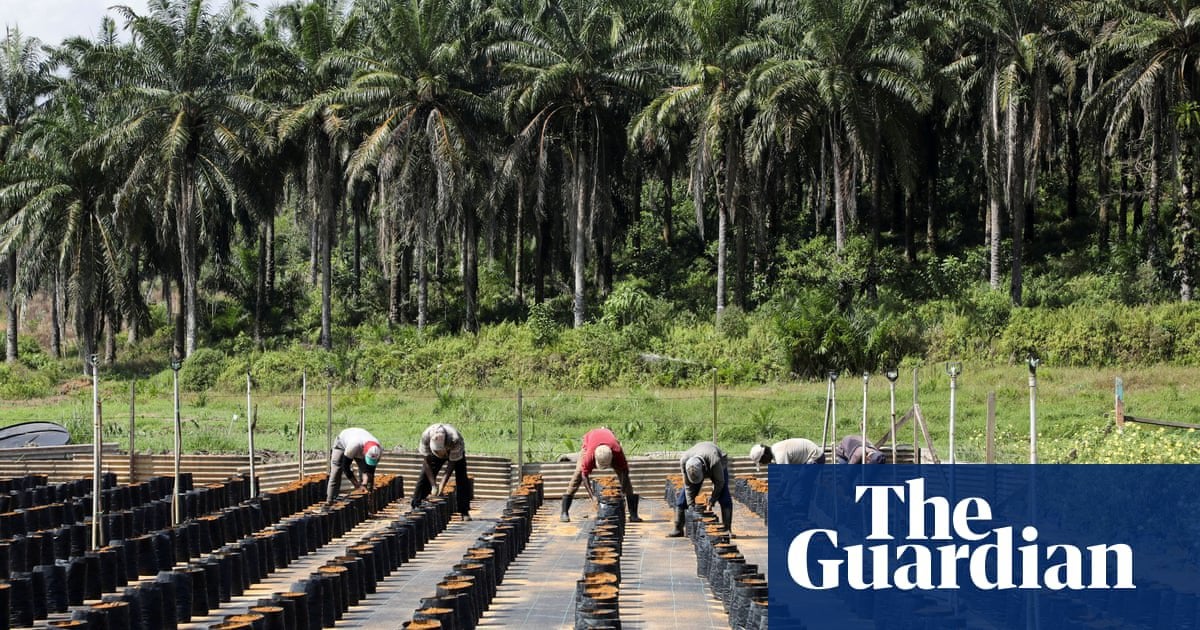 Push for post-Brexit trade deals may threaten UK pledges on deforestation | Deforestation