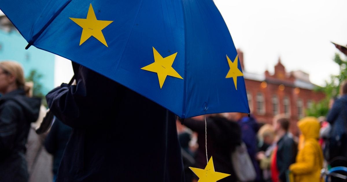 Remainers and Leavers clash over business closing due to Brexit