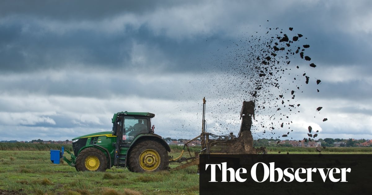 Revealed: farmers received less than 0.5% of post-Brexit money last year | Farming