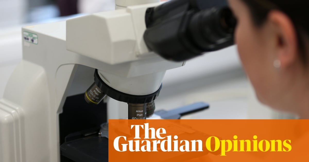 Thanks to Brexit, I lost a €2.5m research grant. I fear for the future of UK science | José R Penadés