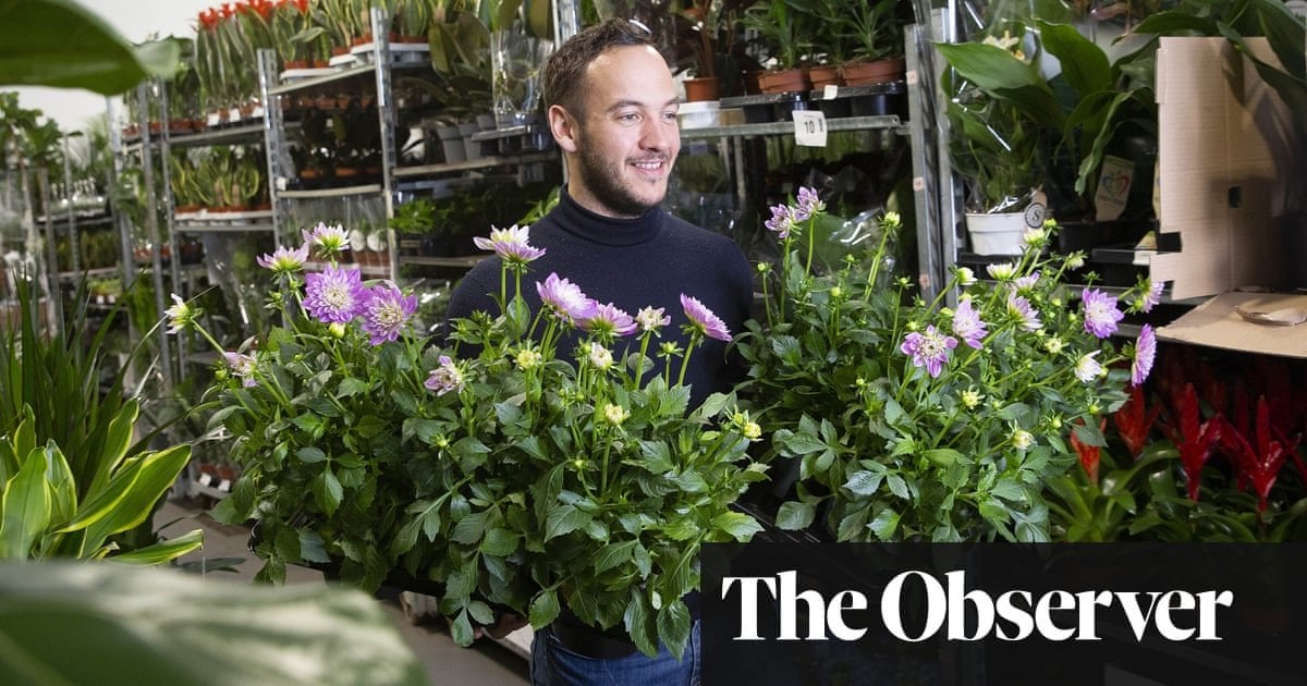 UK flower industry thrown into chaos by new Brexit border checks