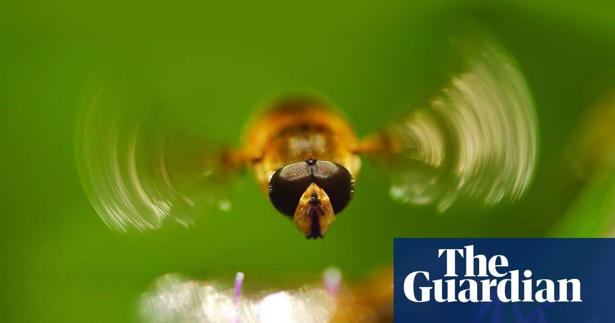 ‘Brexit freedoms bill’ could abolish all pesticide protections, campaigners say | Pesticides