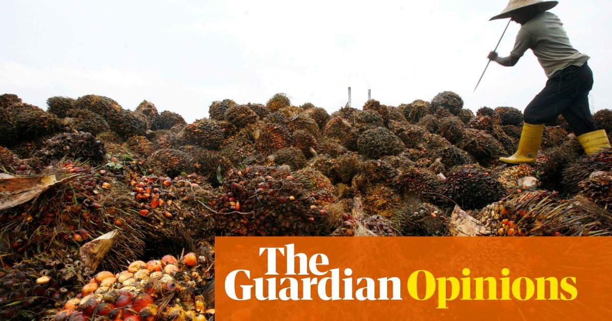 ‘Take back control’? With this Pacific trade deal, Brexit Britain has just signed it away | Nick Dearden