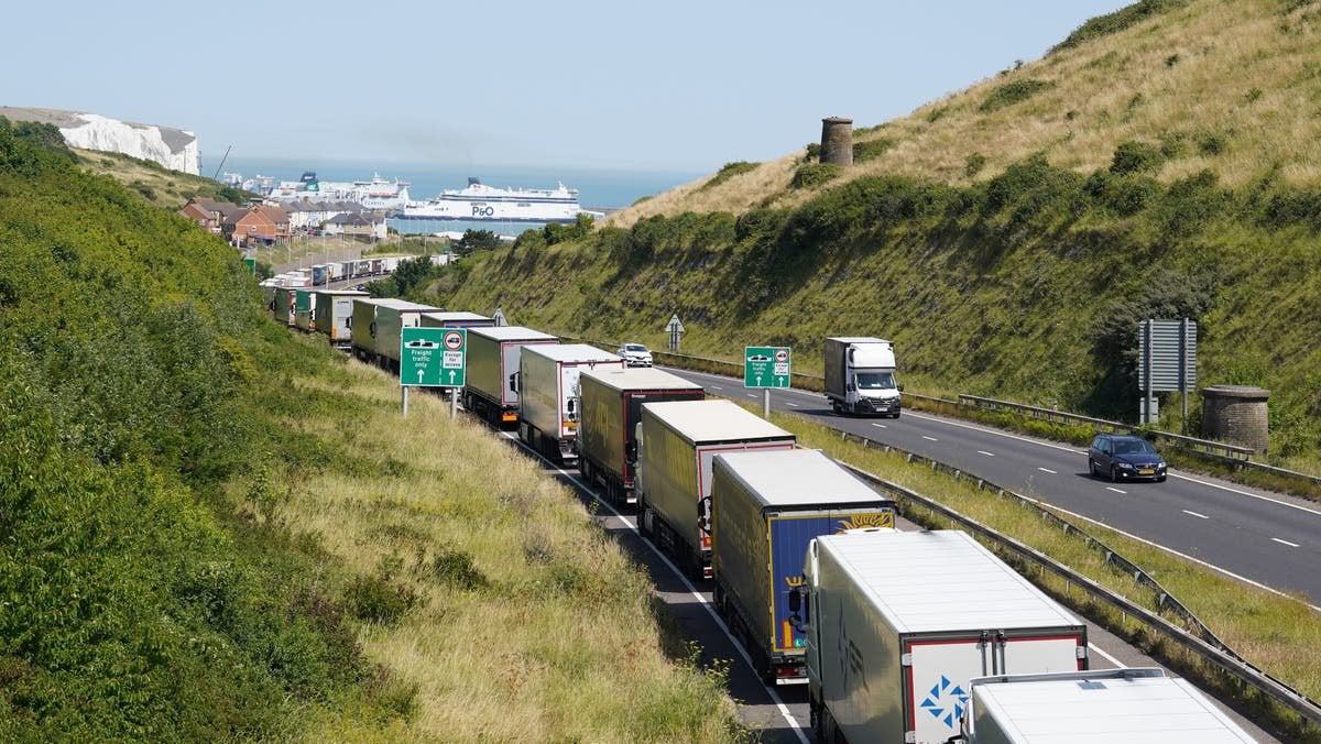 ‘Waste of everyone’s time’: New government video sets out Brexit paperwork mountain